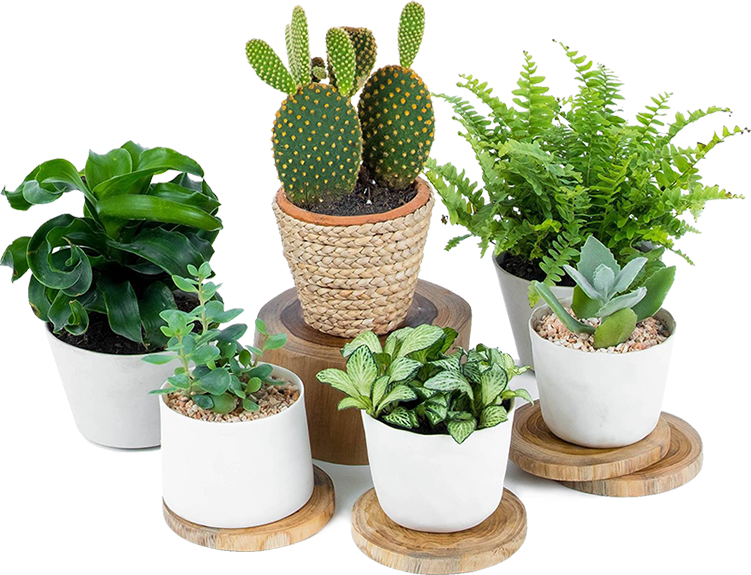 about-store1 about-store1